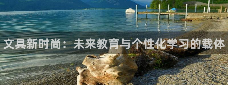 龙八国际手机版下载注册：文具新时尚：未来
