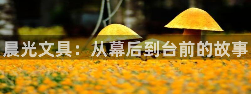 龙八国际88：晨光文具：从幕后到台前的故