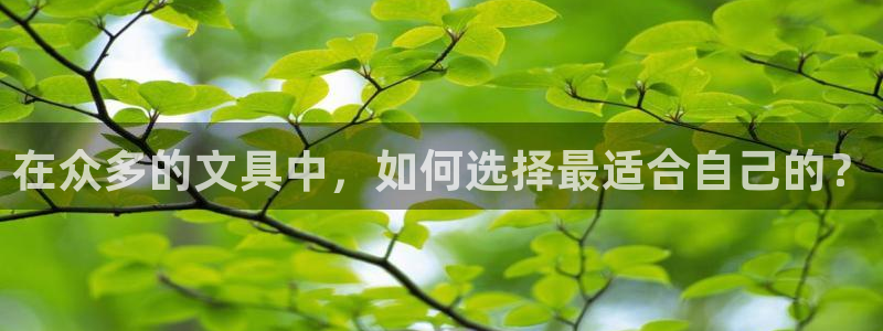 龙八国际娱乐客服：在众多的文具中，如何选