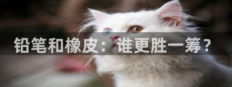 龙八国际手机版下载：铅笔和橡皮：谁更胜一