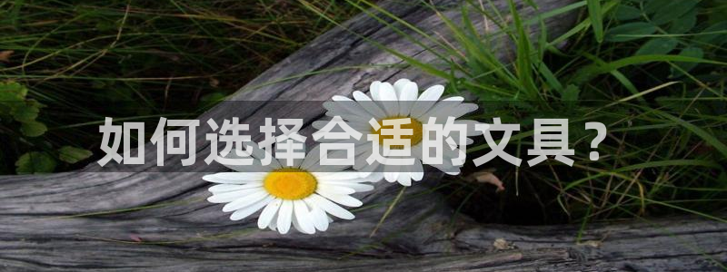 龙八国际害死多少人：如何选择合适的文具？