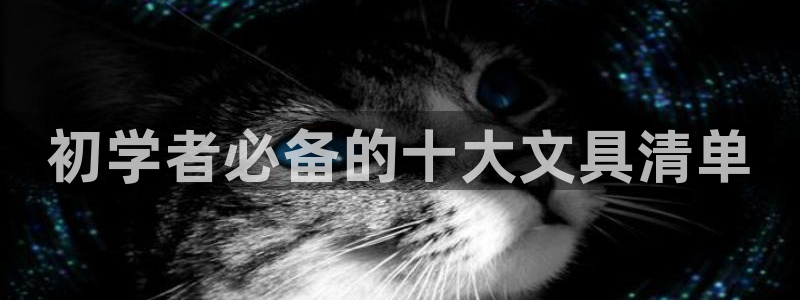 龙 八国际：初学者必备的十大文具清单