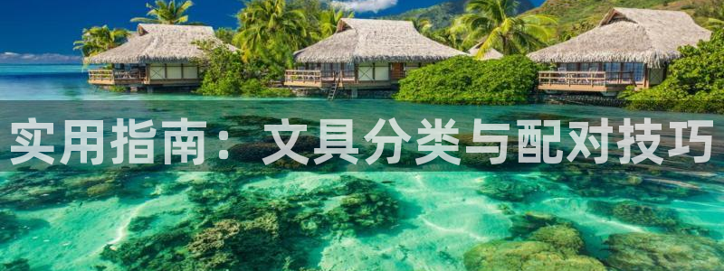 龙八国际娱乐dt 和老虎机：实用指南：文