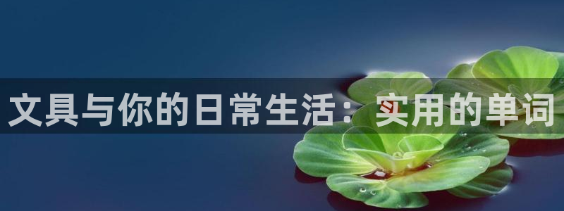 龙八国际兑换码：文具与你的日常生活：实用