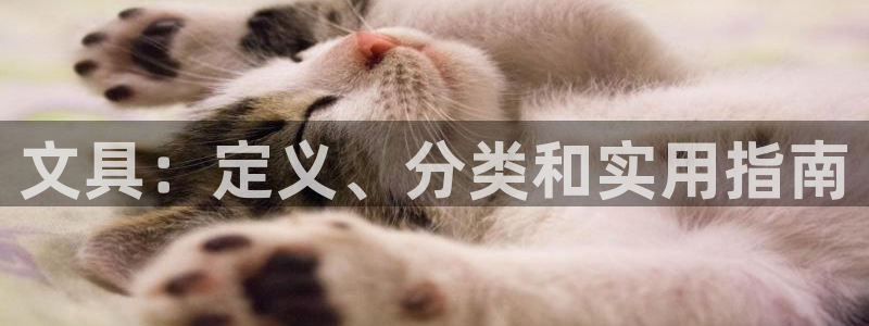 龙八国际app客户端下载手机版：文具：定