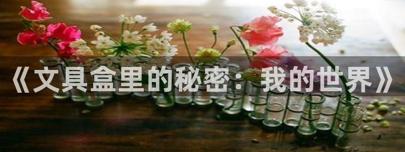 龙八国际下载欢迎您：《文具盒里的秘密：我