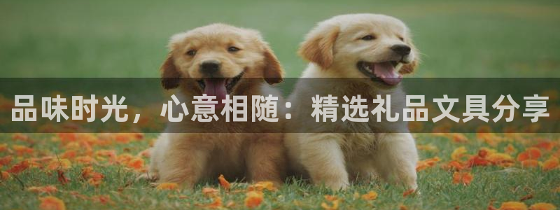 龙八国际pt游戏下载：品味时光，心意相随