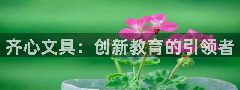 龙八国际手机版下载官网：齐心文具：创新教
