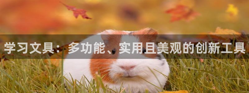 龙八国际官网产品介绍：学习文具：多功能、