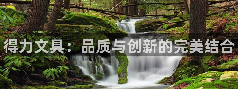 龙八国际娱乐手机版：得力文具：品质与创新