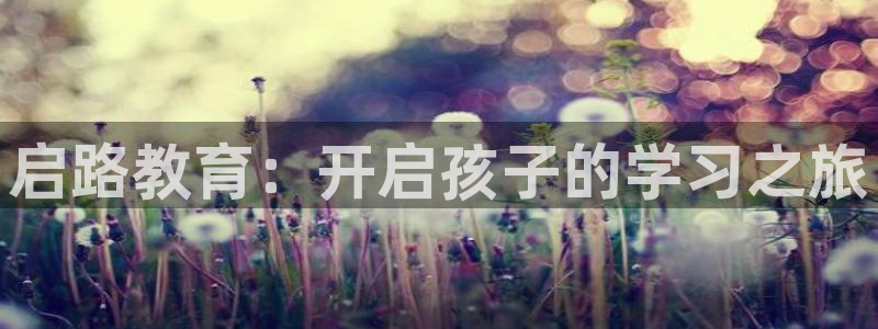 龙八国际管网登陆：启路教育：开启孩子的学