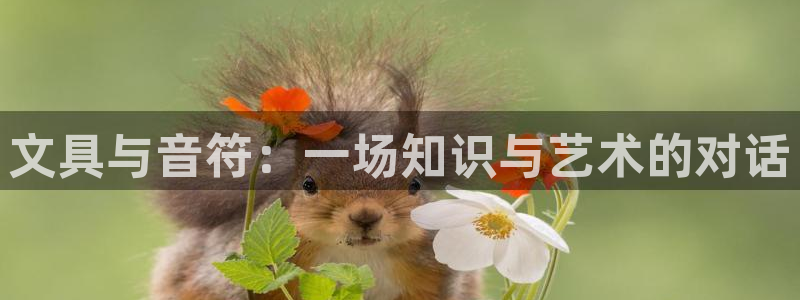 龙八国际可b48点tv：文具与音符：一场