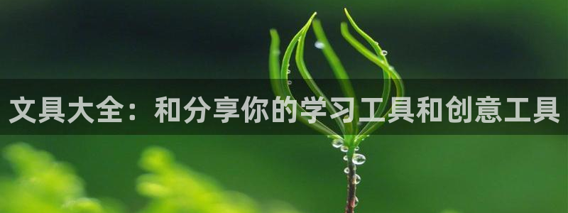 龙八国际官方首页：文具大全：和分享你的学