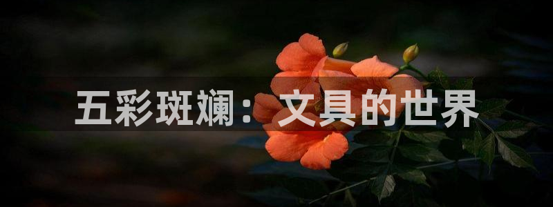 龙八国际手机版下载苹果