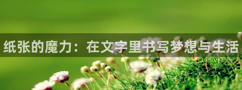 龙八国际棋牌官方网站：纸张的魔力：在文字