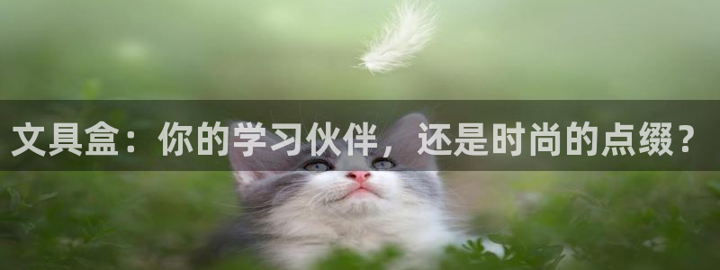 龙八国际唯一官网：文具盒：你的学习伙伴，