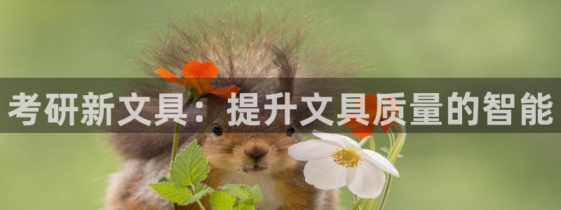 龙八国际娱乐在线游戏：考研新文具：提升文