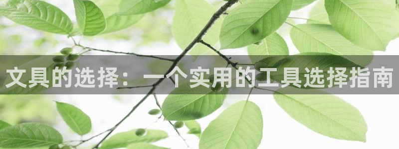 龙八国际官方网址：文具的选择：一个实用的