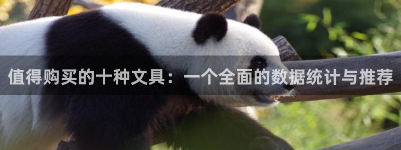 龙八国际棋牌官方网站：值得购买的十种文具