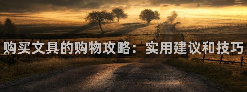 龙八国际登录密码：购买文具的购物攻略：实