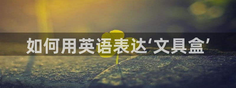 龙八国际头号玩家是谁啊：如何用英语表达‘