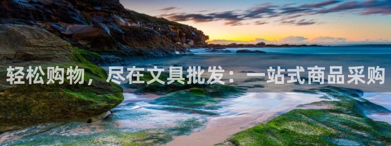 龙八国际手机登录网址：轻松购物，尽在文具