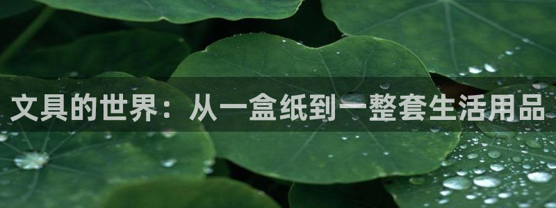 龙八国际有没有假：文具的世界：从一盒纸到
