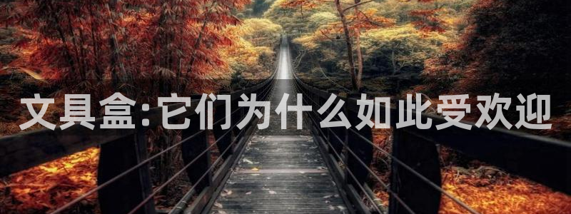 龙八国际彩金购买：文具盒:它们为什么如此