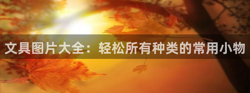 龙八国际app客户端下载手机版：文具图片