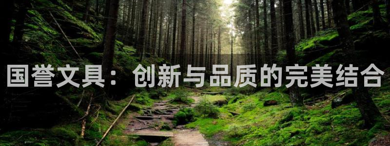 龙八国际棋牌：国誉文具：创新与品质的完美