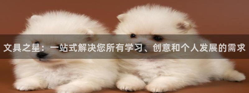 龙八国际娱乐地：文具之星：一站式解决您所