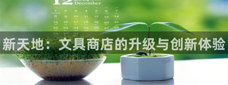 龙八国际pt：新天地：文具商店的升级与创