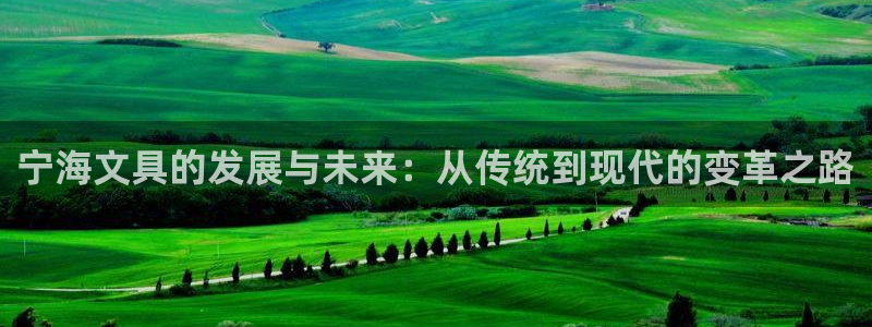 龙八国际登录网：宁海文具的发展与未来：从