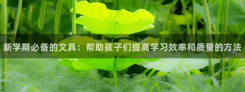 龙八国际苹果版下载：新学期必备的文具：帮