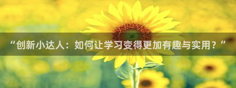 龙八国际官首页：“创新小达人：如何让学习