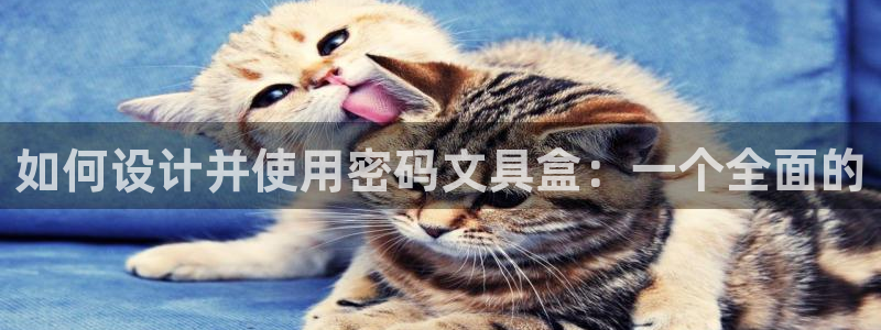 龙八国际怎么注册下载：如何设计并使用密码