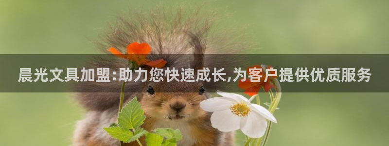 龙八国际是个什么游戏：晨光文具加盟:助力