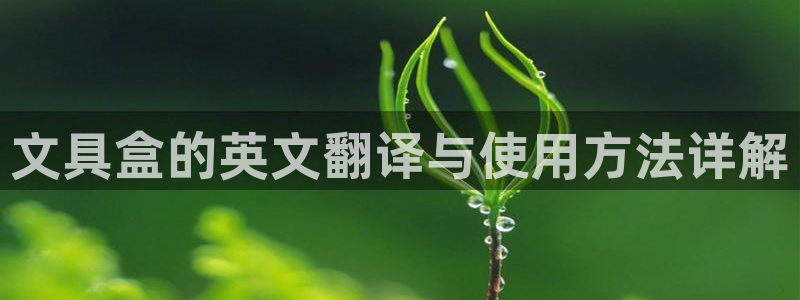 龙八国际娱乐预约：文具盒的英文翻译与使用