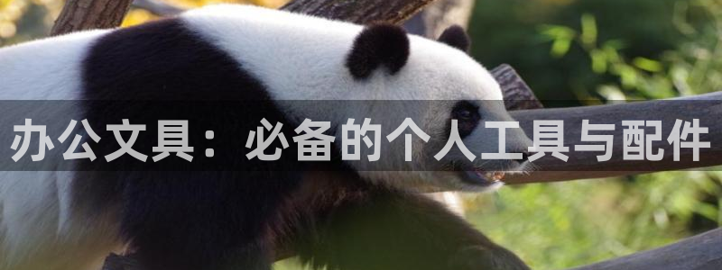 龙八国际app联系方式