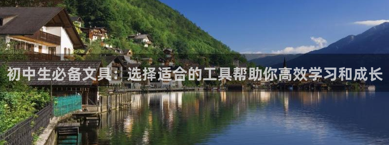 龙八国际可以京东充值吗：初中生必备文具：