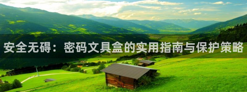 龙八国际平台网站：安全无碍：密码文具盒的