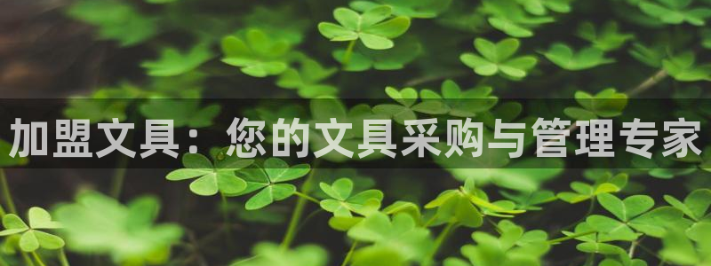 龙八国际怎么注册手机端：加盟文具：您的文