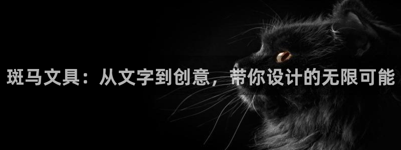 龙八国际官网手机端：斑马文具：从文字到创