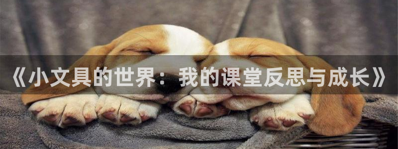 正规龙八国际：《小文具的世界：我的课堂反