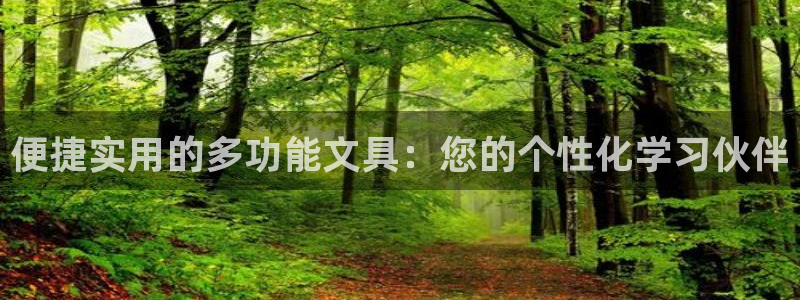 龙八国际老虎机下载：便捷实用的多功能文具