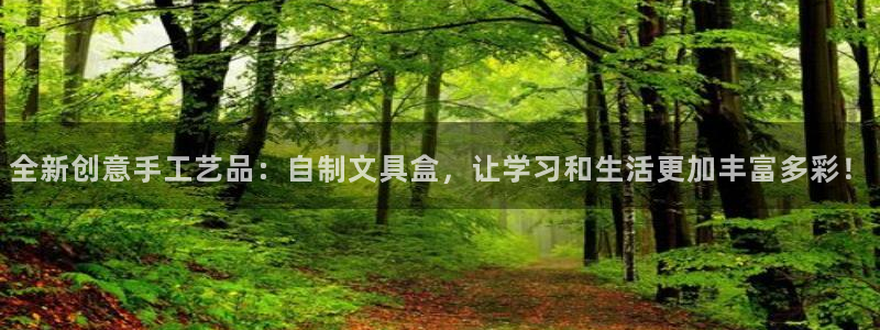 龙八国际zbzszx.com：全新创意手