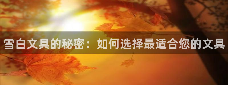 龙八国际下载欢迎您：雪白文具的秘密：如何