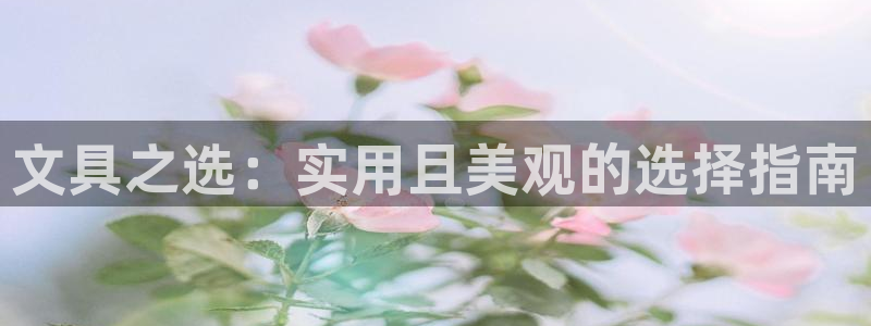 龙八国际apPP：文具之选：实用且美观的