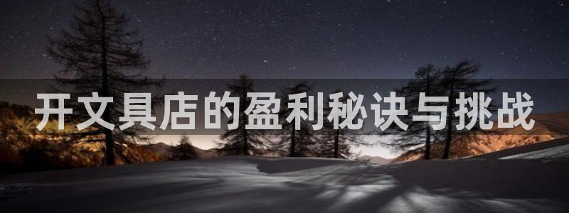 龙八国际娱乐App客户端下载：开文具店的