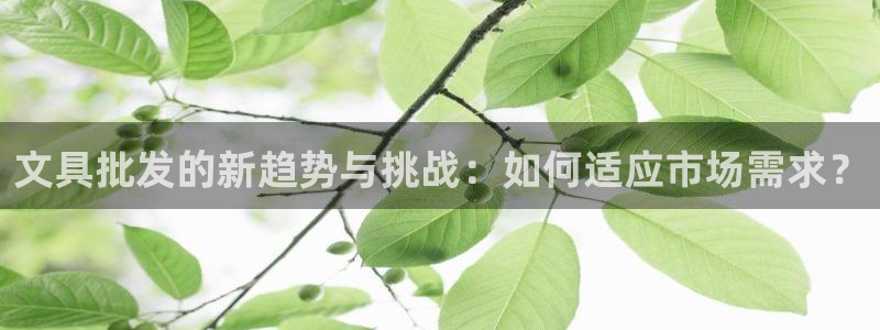龙八国际娱乐官方网站：文具批发的新趋势与